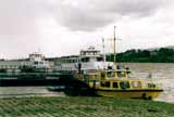 Schiffe am Budenheimer Rhein