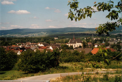 Blick über Budenheim